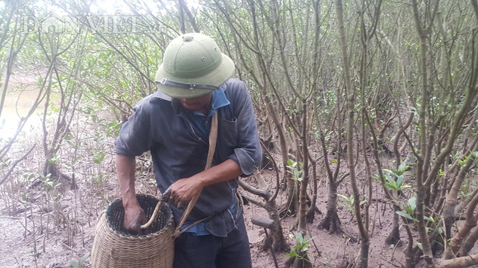 Săn thủy quái dài ngoẵng đầy răng nhọn, kiếm nửa triệu đồng/ngày - 4 Săn thủy quái dài ngoẵng đầy răng nhọn, kiếm nửa triệu đồng/ngày - 4