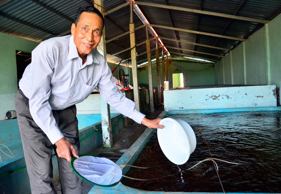 Kiên Giang: Trở thành tỷ phú nhờ nghề...đỡ đẻ cho tôm - 3