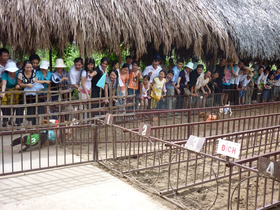 Ngày nghỉ cuối, Chợ nổi Cái Răng, Tràm Chim,… vẫn đông nghịt khách - 11 Ngày nghỉ cuối, Chợ nổi Cái Răng, Tràm Chim,… vẫn đông nghịt khách - 11