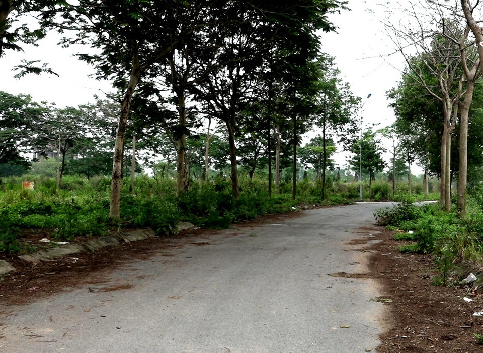 Hà Nội ngàn tỷ chôn vùi: Đau lòng siêu đô thị chỉ để nuôi vịt, thả bò - 4 Hà Nội ngàn tỷ chôn vùi: Đau lòng siêu đô thị chỉ để nuôi vịt, thả bò - 4