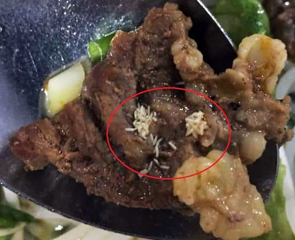 Nghệ An: Công nhân tá hỏa khi phát hiện cả ổ giòi trong miếng thịt - 1