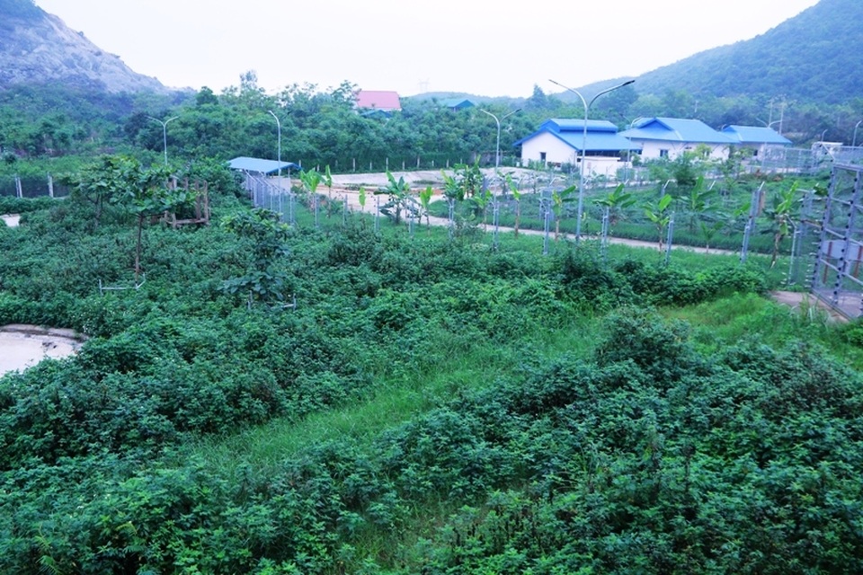 Ghé thăm nơi “hồi sinh” những cá thể gấu ở Ninh Bình - 6 Ghé thăm nơi “hồi sinh” những cá thể gấu ở Ninh Bình - 6