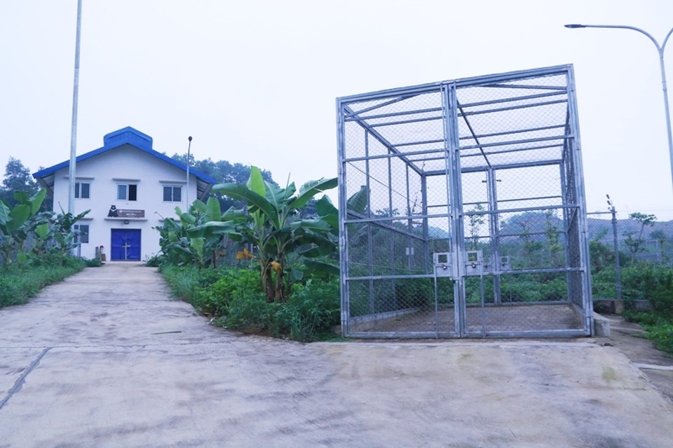 Ghé thăm nơi “hồi sinh” những cá thể gấu ở Ninh Bình - 1 Ghé thăm nơi “hồi sinh” những cá thể gấu ở Ninh Bình - 1
