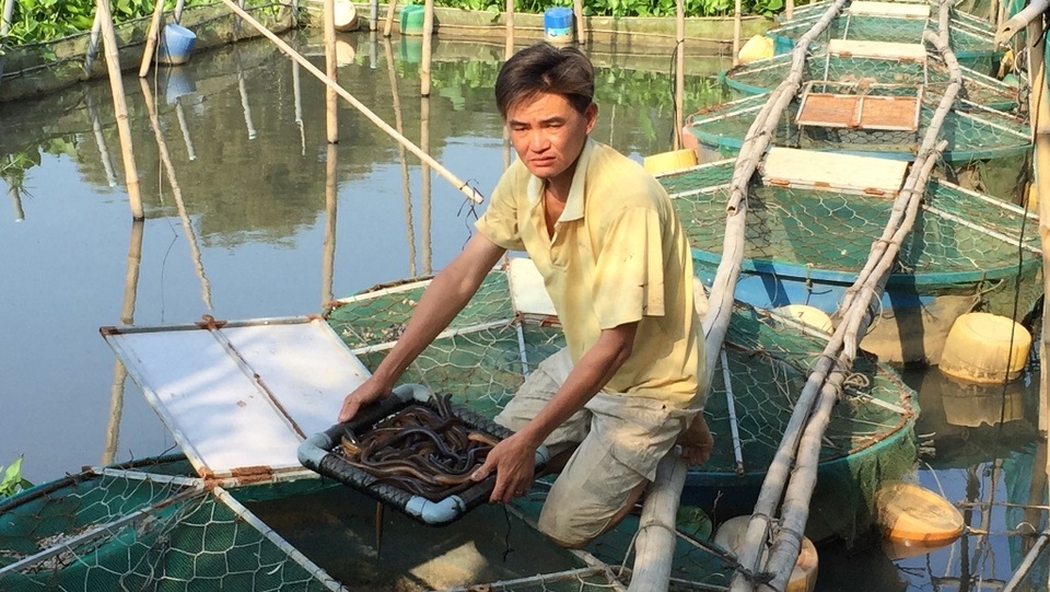 Nước sông đen ngòm, cá chết hàng loạt, dân khốn khổ vì mất nước sinh hoạt - 2 Nước sông đen ngòm, cá chết hàng loạt, dân khốn khổ vì mất nước sinh hoạt - 2