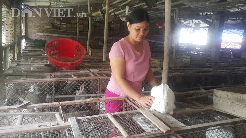 Người đàn bà dựng cơ đồ với ...ngàn con thỏ - 1 Người đàn bà dựng cơ đồ với ...ngàn con thỏ - 1
