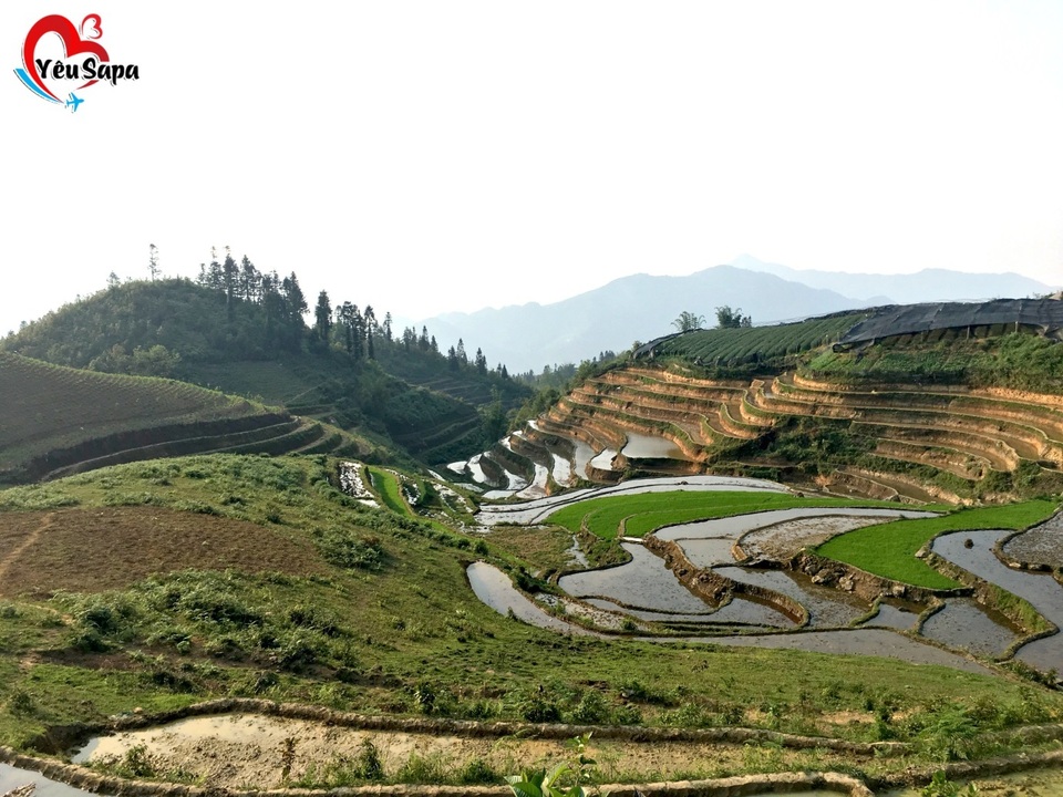 Thưởng thức tháng 5 ở Sapa - 1 Thưởng thức tháng 5 ở Sapa - 1
