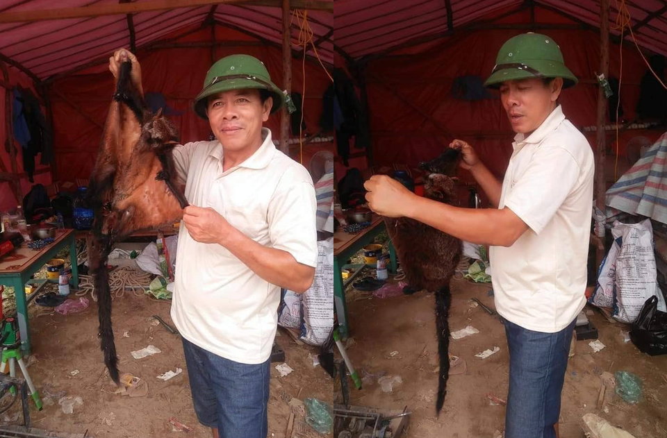 Truy tìm nhóm người nghi giết chồn bay quý hiếm rồi đăng Facebook - 2 Truy tìm nhóm người nghi giết chồn bay quý hiếm rồi đăng Facebook - 2