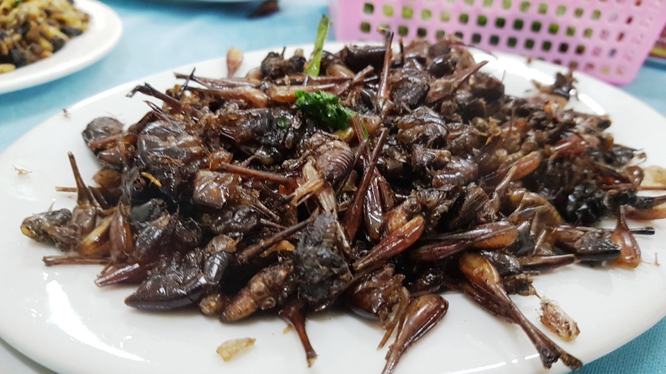 Những món đặc sản nhiều người nhìn đã “sởn da gà” ở Ninh Bình - 8 Những món đặc sản nhiều người nhìn đã “sởn da gà” ở Ninh Bình - 8