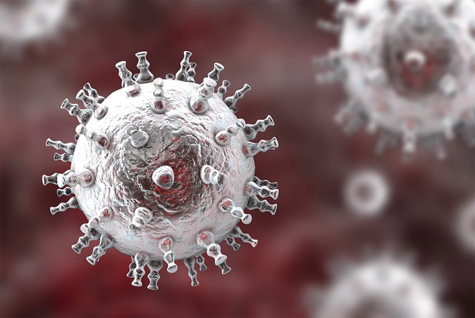 Xuất hiện biến thể của virus Herpes - 1 Xuất hiện biến thể của virus Herpes - 1