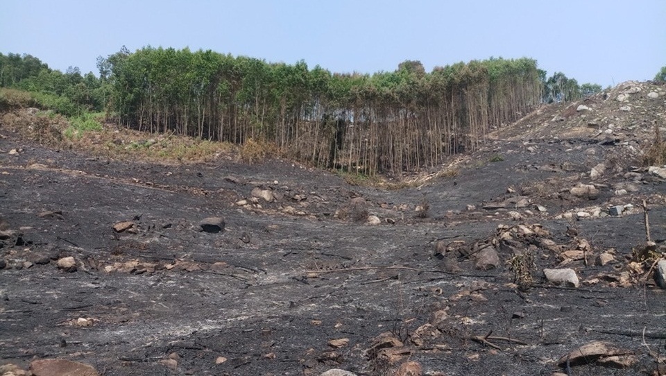 Nửa tháng xảy ra 6 vụ cháy rừng, 1 người chết - 2