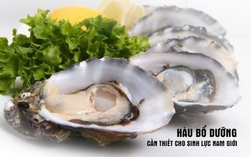 Những vị thuốc Đông Y giúp tăng cường sinh lý nam giới trong MR 1h - 1 Những vị thuốc Đông Y giúp tăng cường sinh lý nam giới trong MR 1h - 1