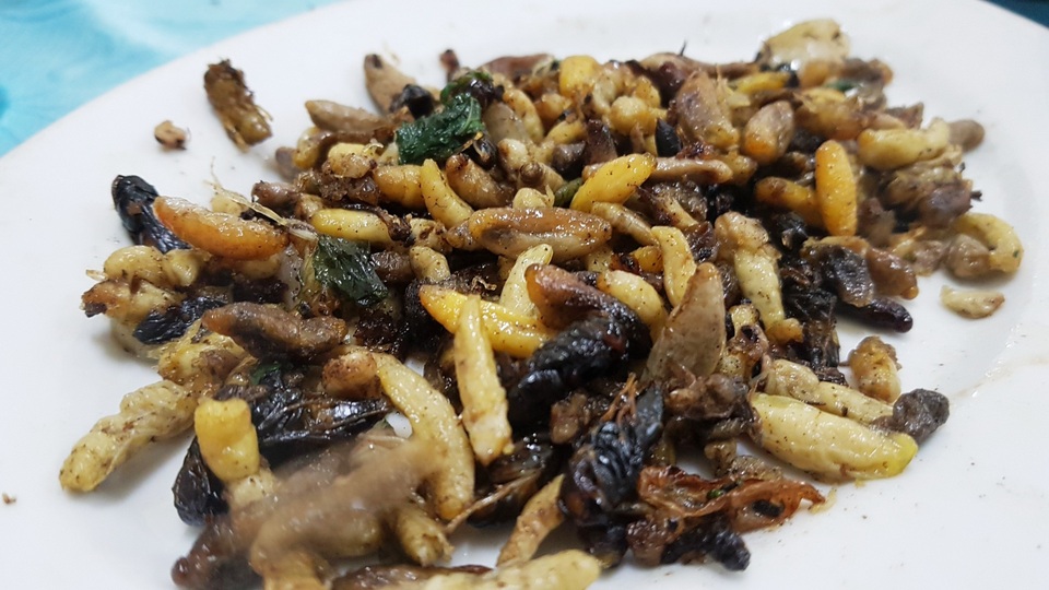 Những món đặc sản nhiều người nhìn đã “sởn da gà” ở Ninh Bình - 7 Những món đặc sản nhiều người nhìn đã “sởn da gà” ở Ninh Bình - 7