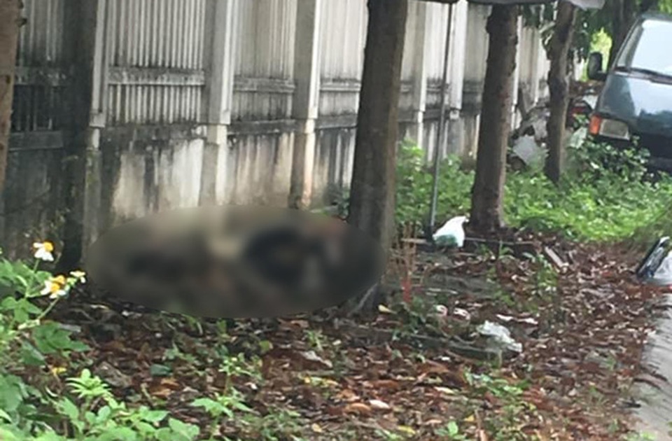 Phát hiện thi thể người phụ nữ cháy đen bên vệ đường - 1 Phát hiện thi thể người phụ nữ cháy đen bên vệ đường - 1