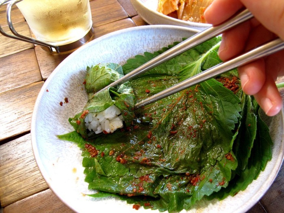 5 loại cây mọc hoang tại Việt Nam, sang nước ngoài trở thành “thần dược” đắt giá - 13 5 loại cây mọc hoang tại Việt Nam, sang nước ngoài trở thành “thần dược” đắt giá - 13