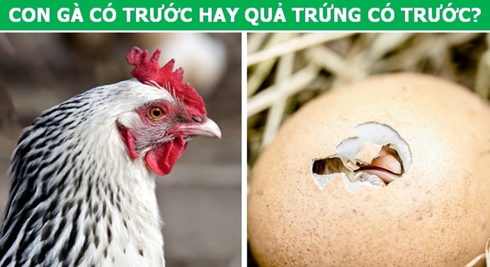 Lời giải cho những câu hỏi thách thức nhiều thế hệ (P1) - 1 Lời giải cho những câu hỏi thách thức nhiều thế hệ (P1) - 1