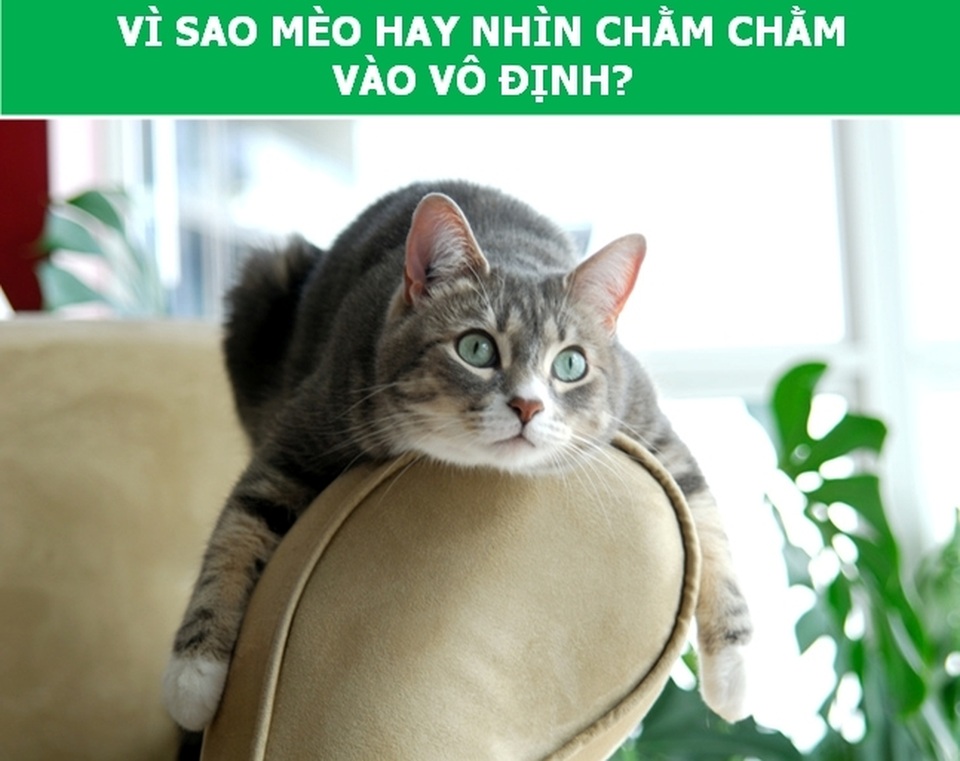 Lời giải cho những câu hỏi thách thức nhiều thế hệ (P1) - 3 Lời giải cho những câu hỏi thách thức nhiều thế hệ (P1) - 3