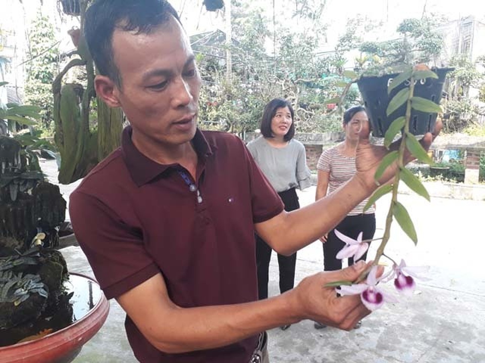 Lạ Thái Nguyên: Vườn lan nhiều loại siêu độc, giá cả chục triệu 1cm - 1 Lạ Thái Nguyên: Vườn lan nhiều loại siêu độc, giá cả chục triệu 1cm - 1