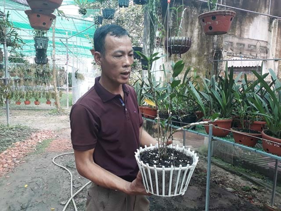 Lạ Thái Nguyên: Vườn lan nhiều loại siêu độc, giá cả chục triệu 1cm - 2 Lạ Thái Nguyên: Vườn lan nhiều loại siêu độc, giá cả chục triệu 1cm - 2