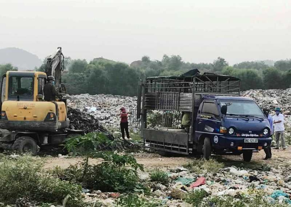 Đề nghị công an vào cuộc vụ vận chuyển lợn nhiễm bệnh dịch tả châu Phi đi tiêu thụ - 1 Đề nghị công an vào cuộc vụ vận chuyển lợn nhiễm bệnh dịch tả châu Phi đi tiêu thụ - 1
