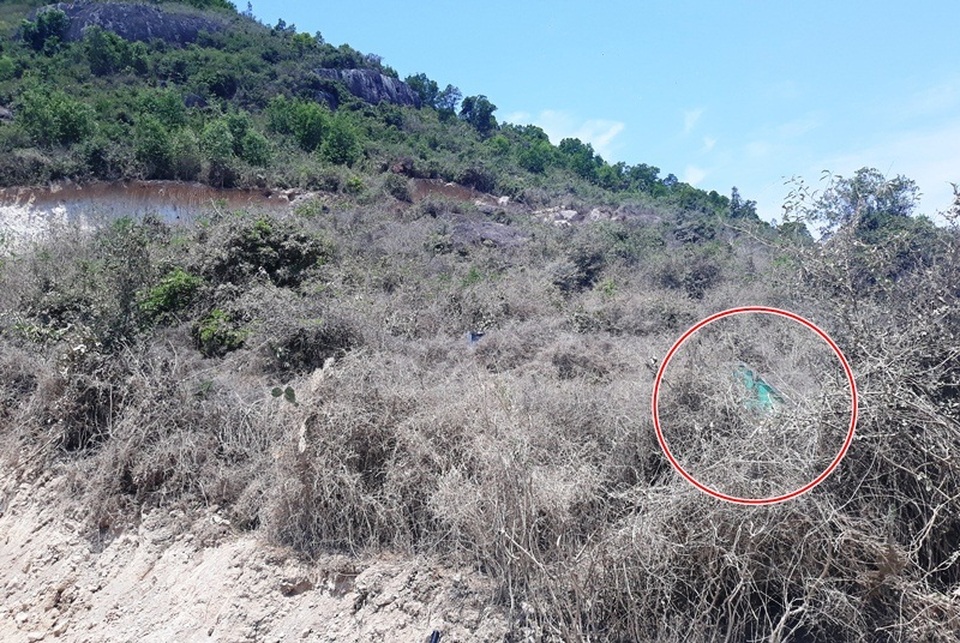 UBND tỉnh Bình Định chỉ đạo, huyện họp “nóng” vụ núi Mò O bị xẻ thịt! - 5 UBND tỉnh Bình Định chỉ đạo, huyện họp “nóng” vụ núi Mò O bị xẻ thịt! - 5