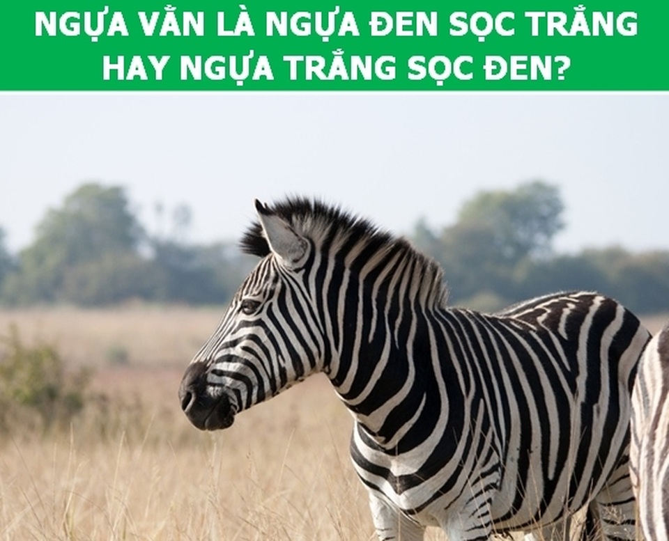 Lời giải cho những câu hỏi thách thức nhiều thế hệ (P2) - 2 Lời giải cho những câu hỏi thách thức nhiều thế hệ (P2) - 2