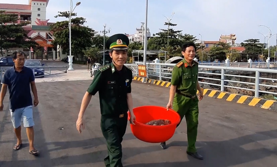 Một người dân mua 2 cá thể rùa biển quý hiếm thả về môi trường tự nhiên - 2 Một người dân mua 2 cá thể rùa biển quý hiếm thả về môi trường tự nhiên - 2