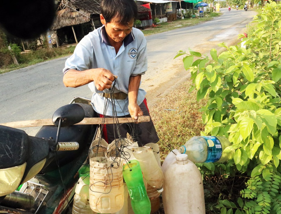 Kiếm tiền triệu từ nghề trèo cây kỳ lạ 20 năm mới ra trái ở An Giang - 4 Kiếm tiền triệu từ nghề trèo cây kỳ lạ 20 năm mới ra trái ở An Giang - 4