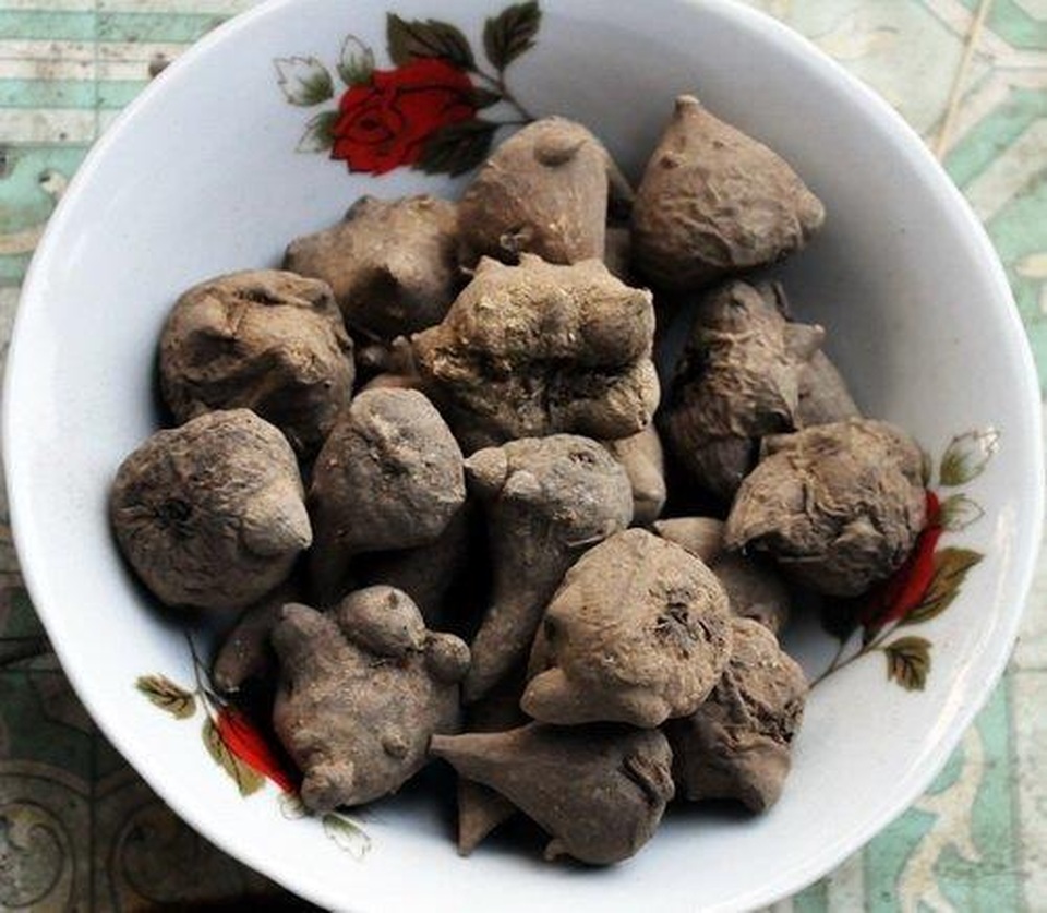 Ngâm loại củ thuộc thuốc độc bảng A để uống, hai người ngộ độc nặng - 2 Ngâm loại củ thuộc thuốc độc bảng A để uống, hai người ngộ độc nặng - 2