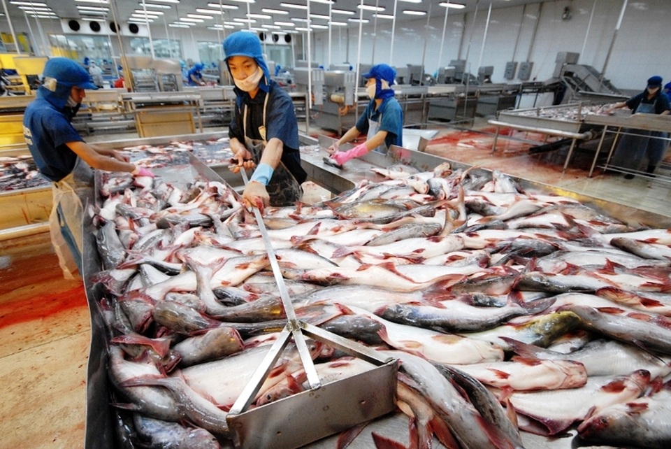Thị trường Đông Âu rất tiềm năng nhưng đang bị “bỏ quên”? - 3 Thị trường Đông Âu rất tiềm năng nhưng đang bị “bỏ quên”? - 3