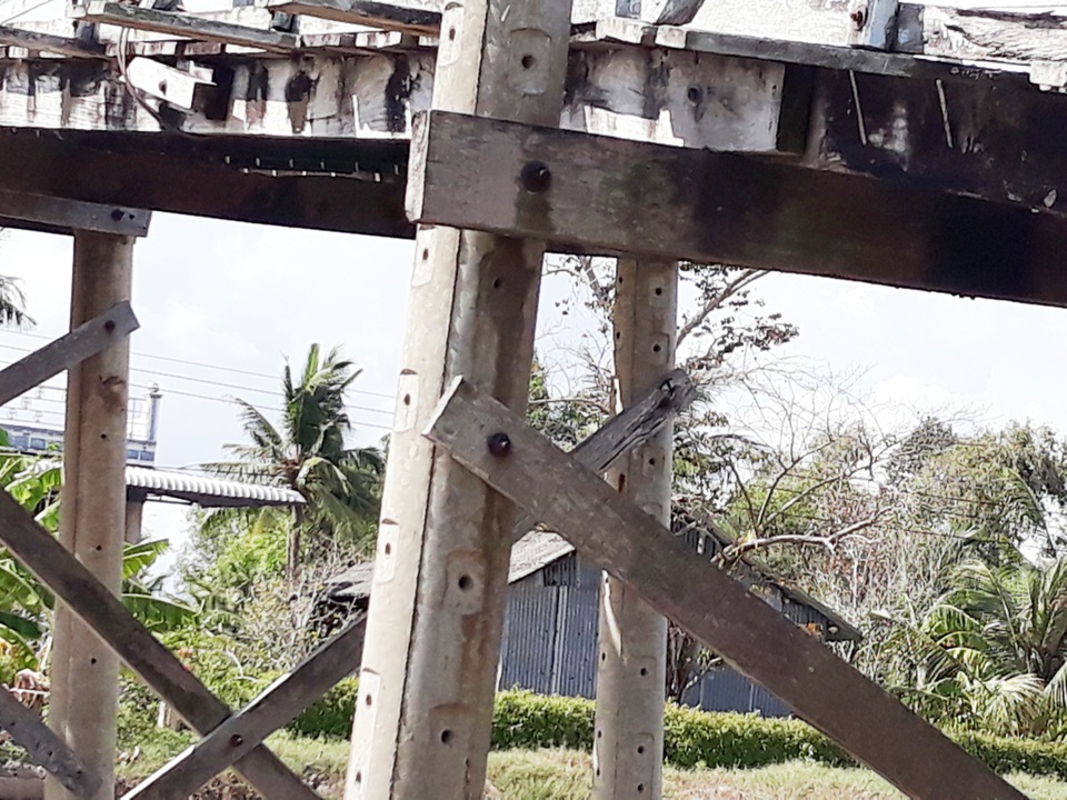 Chênh vênh cầu ván vùng kháng chiến U Minh - Cà Mau - 11 Chênh vênh cầu ván vùng kháng chiến U Minh - Cà Mau - 11