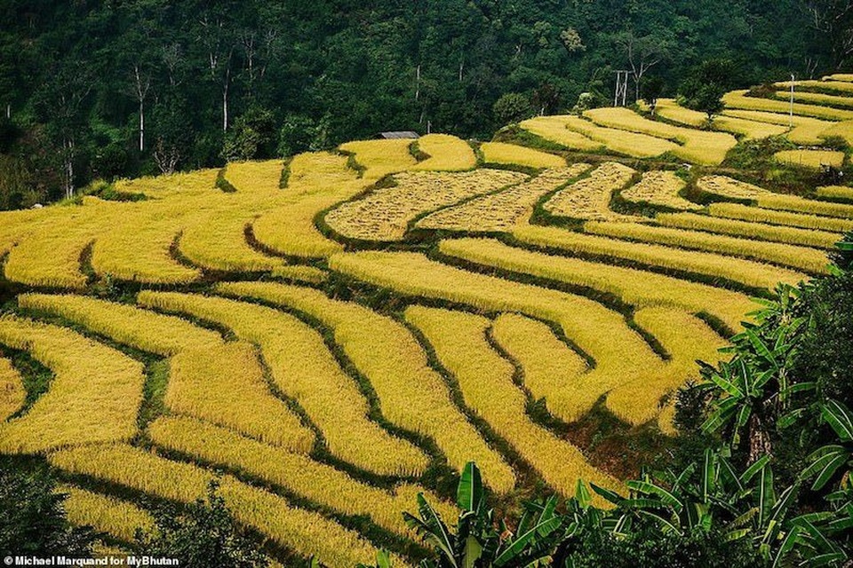 Chiêm ngưỡng vẻ đẹp mê hoặc của đất nước hạnh phúc nhất thế giới - 11 Chiêm ngưỡng vẻ đẹp mê hoặc của đất nước hạnh phúc nhất thế giới - 11