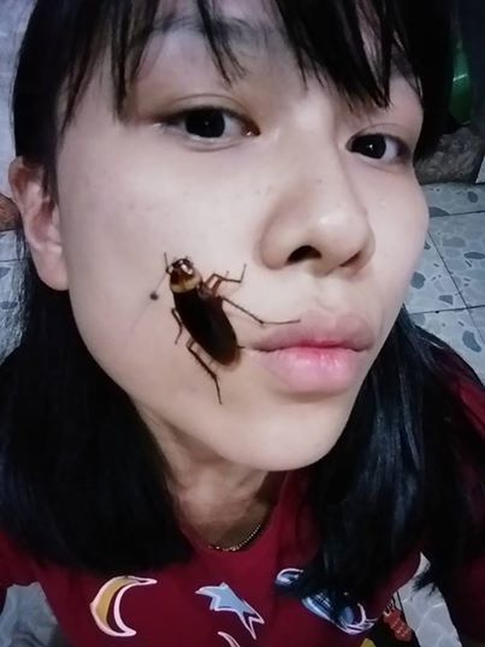 Khiếp đảm trào lưu chụp ảnh tự sướng với gián trên mặt - 2 Khiếp đảm trào lưu chụp ảnh tự sướng với gián trên mặt - 2