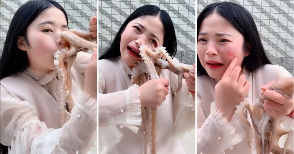 Gái xinh quay clip ăn bạch tuộc sống câu người xem và cái kết đắng - 1 Gái xinh quay clip ăn bạch tuộc sống câu người xem và cái kết đắng - 1
