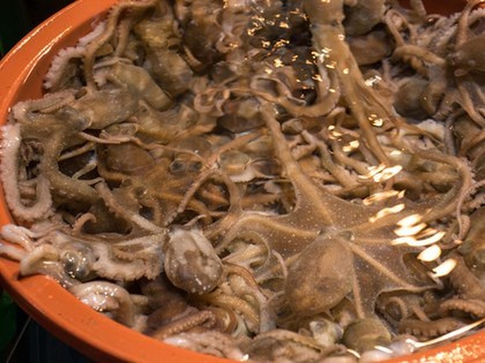 Điểm danh những món ăn nguy hiểm nhất thế giới - 5