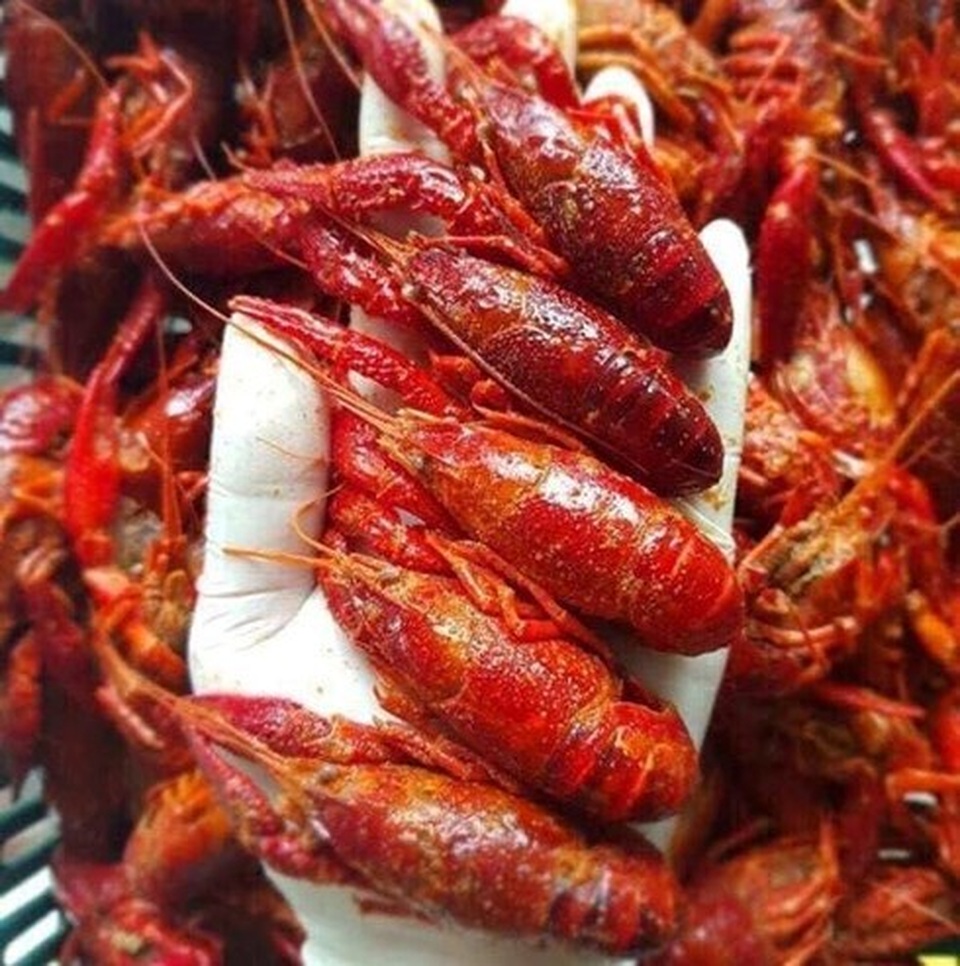 Tôm hùm đất ngon, lạ, rẻ bán đầy chợ mạng: Hàng bị cấm bán ở Việt Nam - 2 Tôm hùm đất ngon, lạ, rẻ bán đầy chợ mạng: Hàng bị cấm bán ở Việt Nam - 2