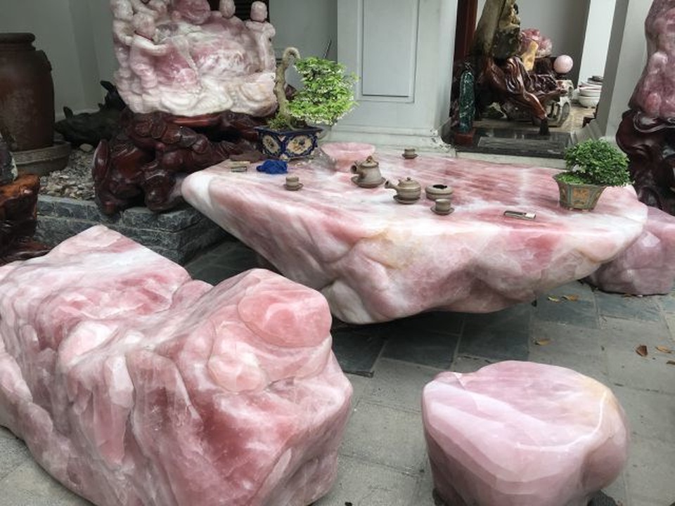 Sững sờ những cây lan giá chục triệu đồng 1 cm; Khóc ròng mua 2,5 kg cua “bị lừa” 1,9 kg dây vải - 8 Sững sờ những cây lan giá chục triệu đồng 1 cm; Khóc ròng mua 2,5 kg cua “bị lừa” 1,9 kg dây vải - 8