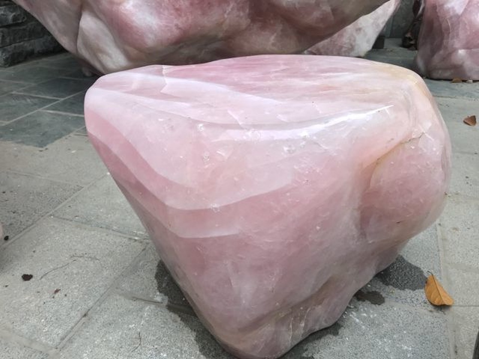 Sững sờ những cây lan giá chục triệu đồng 1 cm; Khóc ròng mua 2,5 kg cua “bị lừa” 1,9 kg dây vải - 9 Sững sờ những cây lan giá chục triệu đồng 1 cm; Khóc ròng mua 2,5 kg cua “bị lừa” 1,9 kg dây vải - 9