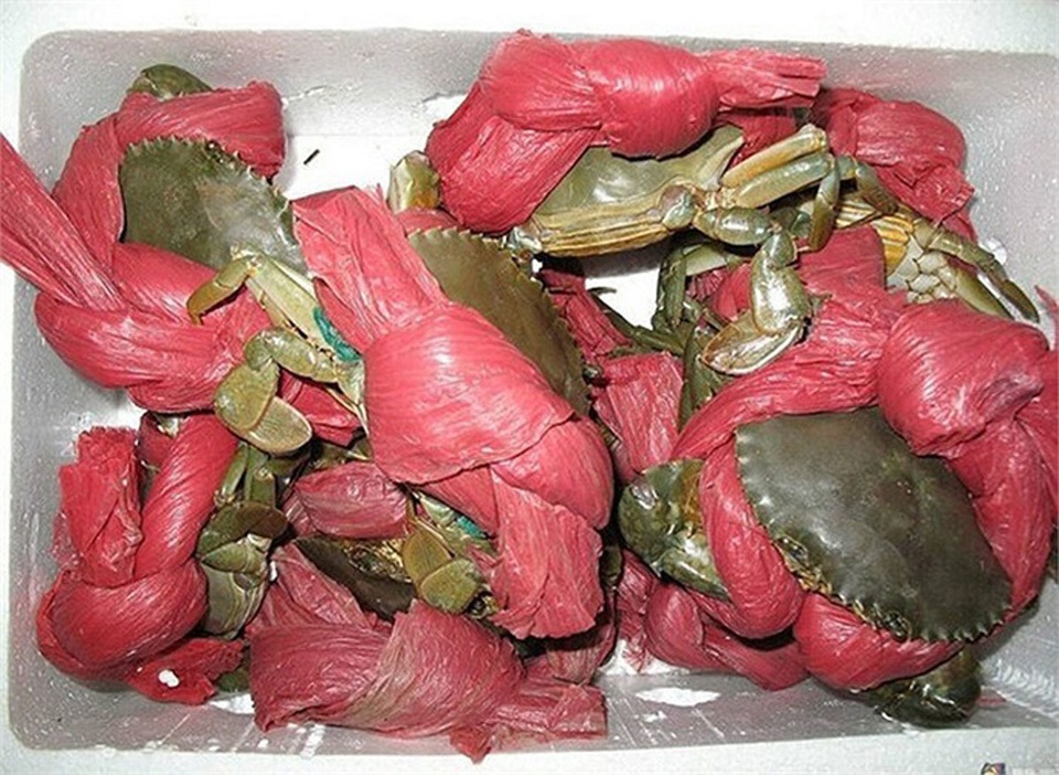 Sững sờ những cây lan giá chục triệu đồng 1 cm; Khóc ròng mua 2,5 kg cua “bị lừa” 1,9 kg dây vải - 6 Sững sờ những cây lan giá chục triệu đồng 1 cm; Khóc ròng mua 2,5 kg cua “bị lừa” 1,9 kg dây vải - 6