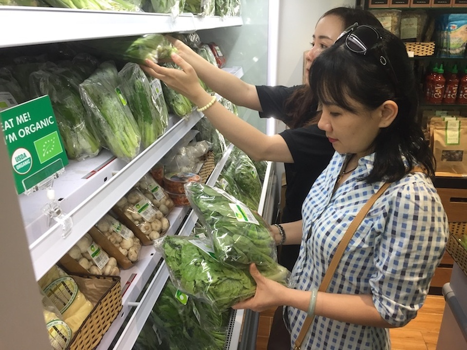 Dân thành phố “mê mẩn” với tôm đất sinh thái sống trong rừng đước - 3 Dân thành phố “mê mẩn” với tôm đất sinh thái sống trong rừng đước - 3