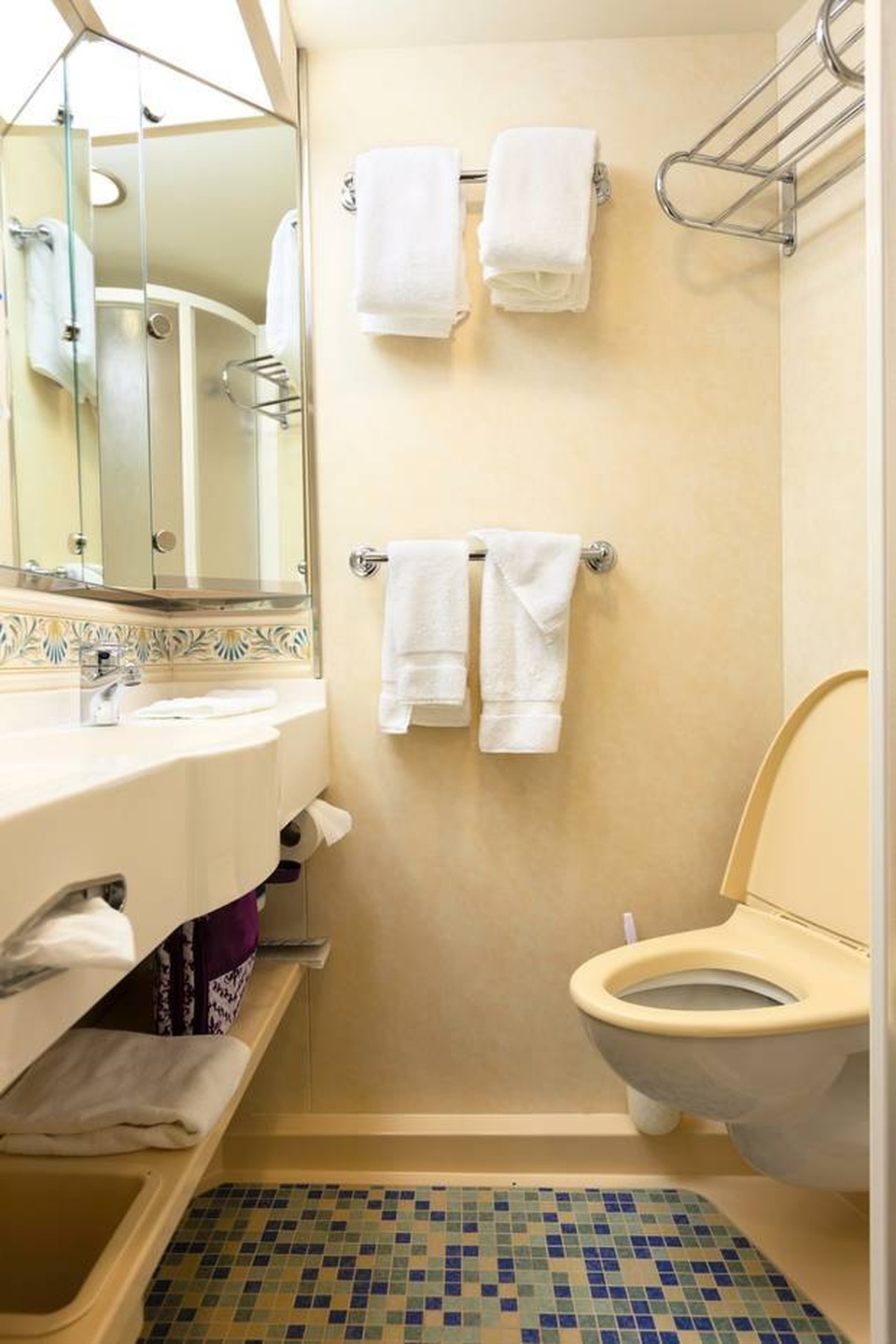 Chất thải của du khách trên tàu du lịch được xử lý thế nào? - 2 Chất thải của du khách trên tàu du lịch được xử lý thế nào? - 2