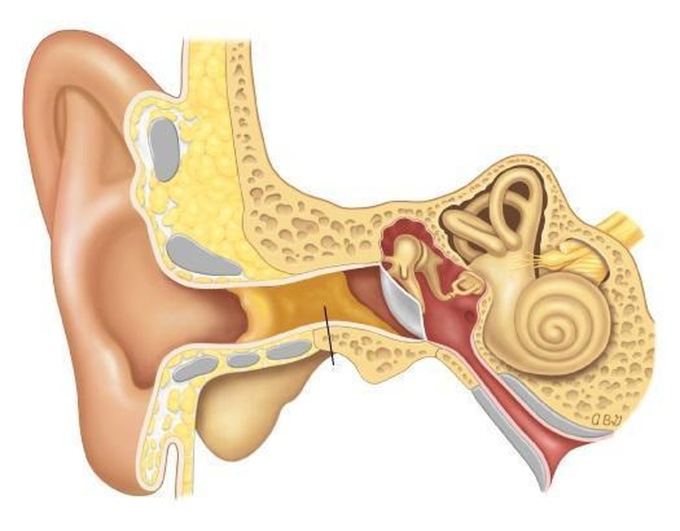 Đau nhói trong tai: Nguyên nhân và cách điều trị - 1 Đau nhói trong tai: Nguyên nhân và cách điều trị - 1