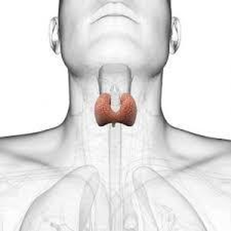 Người bị bệnh Basedow nên ăn gì và kiêng ăn gì? - 1 Người bị bệnh Basedow nên ăn gì và kiêng ăn gì? - 1