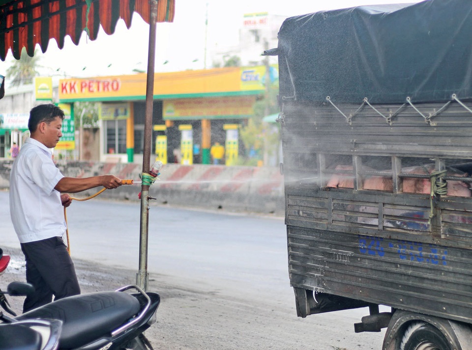 Long An: Triển khai mọi biện pháp khẩn cấp nhằm ngăn ngừa dịch tả lợn châu Phi - 1 Long An: Triển khai mọi biện pháp khẩn cấp nhằm ngăn ngừa dịch tả lợn châu Phi - 1