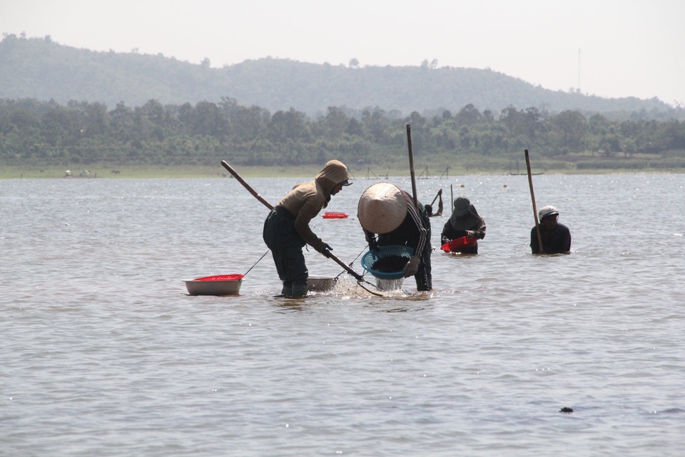 Đổ xô đi đãi hến mùa nước cạn ở hồ Ea Kao - 1