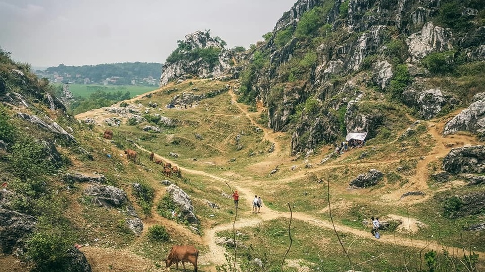 captainessy.jpg .jpg