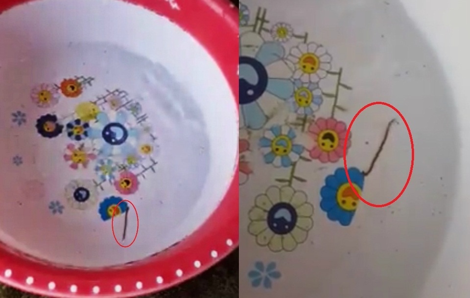 Hãi hùng sinh vật nghi là đỉa ngoe nguẩy trong nước máy tại Quảng Bình - 1 Hãi hùng sinh vật nghi là đỉa ngoe nguẩy trong nước máy tại Quảng Bình - 1