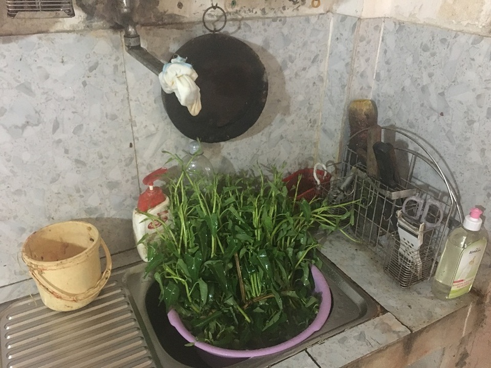 Hãi hùng sinh vật nghi là đỉa ngoe nguẩy trong nước máy tại Quảng Bình - 3 Hãi hùng sinh vật nghi là đỉa ngoe nguẩy trong nước máy tại Quảng Bình - 3