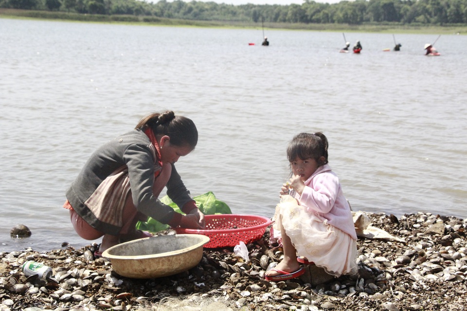 Đổ xô đi đãi hến mùa nước cạn ở hồ Ea Kao - 7