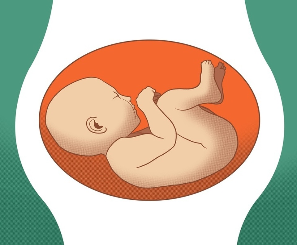 Những điều mẹ bầu cần biết về tư thế thai nhi trong tử cung - 3 Những điều mẹ bầu cần biết về tư thế thai nhi trong tử cung - 3
