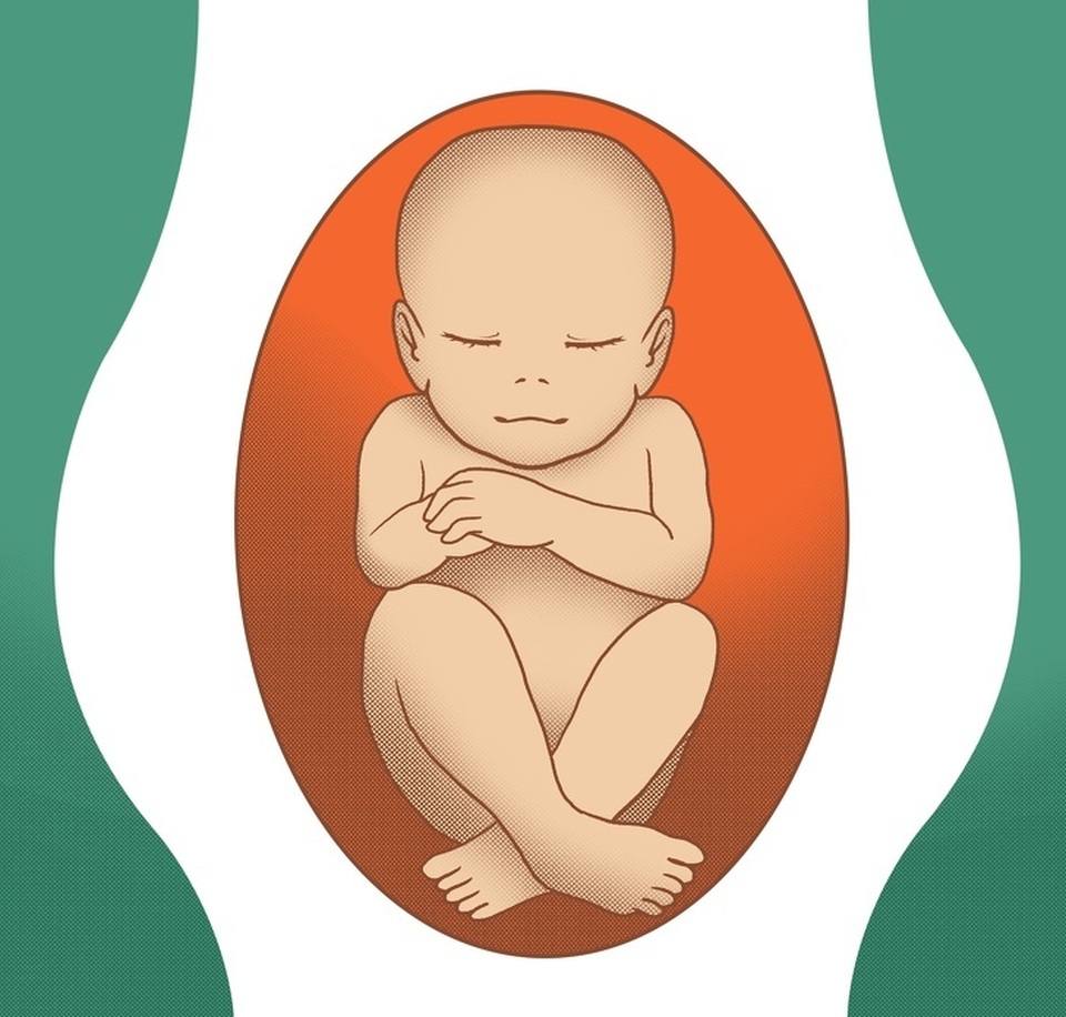 Những điều mẹ bầu cần biết về tư thế thai nhi trong tử cung - 4 Những điều mẹ bầu cần biết về tư thế thai nhi trong tử cung - 4